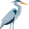 Sound Title Of Tampa Bay, Inc.