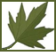 Southbrook Healthcare