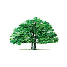Southern Hardwood Floors Chapel Hill