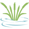 South Meadows Dental & Orthodontics
