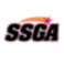 South Shore Gymnastics Academy