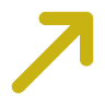 Assicurazioni Sp Insurance Broker