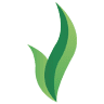Special Commodity SRL