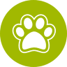 Special Pet