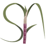 Spinagro