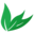 Spirulina