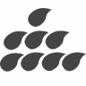 SplashBI