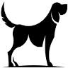 Springbrook Kennels