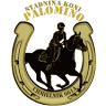 Palomino. Horse ridding lessons