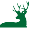 Stag Oak and pine