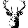 The Stag's Head