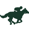 Stallion Co