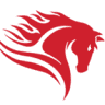 Stallion Removals & Storage Ltd.