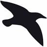 Starling Airport Service ApS