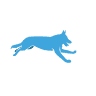 STARR Veterinary Group