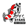 Stars Koi