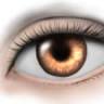 Staunton Eye Clinic