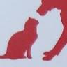St. Cats & Dogs Inc