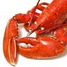 Steamboat Meat & Seafood Co