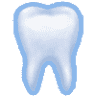 Steven W Nodtvedt DDS