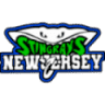 The Stingray Allstars Cheer & Tumble New Jersey