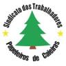 Sindicato Trabalhadores Indústria Pap C P M P Corticas Caieiras