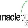 Pinnacle Plus Services