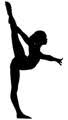 Golden Knight Gymnastics