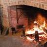 Stone Oak Tree Farm and Bed & Breakfast