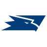 FALCON ELECTRONICS PROD SRL