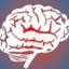 The Stroke & Brain Aneurysm Center of Long Island