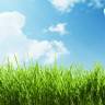 Stuart Harris Garden Services