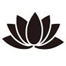 Studio Lotus