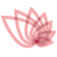 Studio Blush