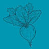 Sugar House Craft & Create