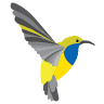 Sunbird Orthodontics Cairns