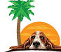 Suncoast Basset Rescue