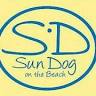 Sun Dog on the Beach