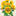 Sunflowers & Greens