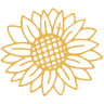 Sunflower Sprouts
