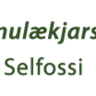 Sunnulækjarskóli