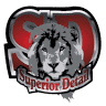 Superior Detail And Mobile Services L.L.C
