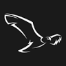 Surrey Hills Falconry