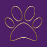 All Breeds Dog Grooming