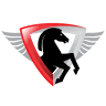 autopneuservis Svatoň Radim