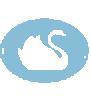 Swan Agency Real Estate