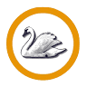 Swan Ping Pong