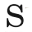Swenson Law Group