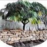 SW London Landscapes Limited