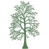 Tangeman Woods and Outdoor Lab